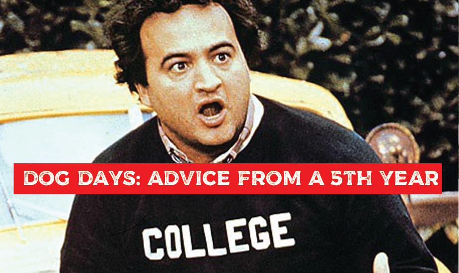 Dog Days: College Advice for Seniors in College